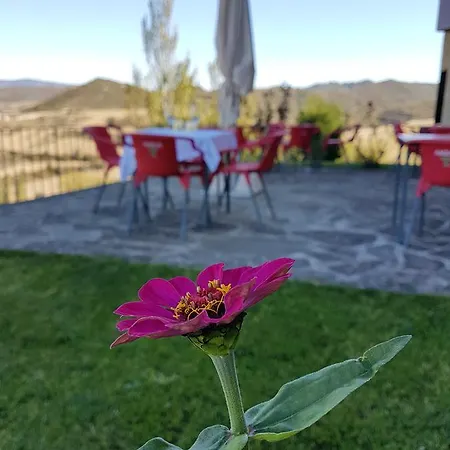 Alda Triskel Hotel Sos del Rey Católico